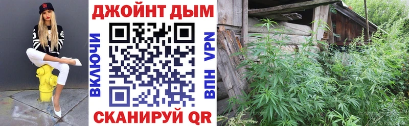 Конопля OG Kush  Инза 
